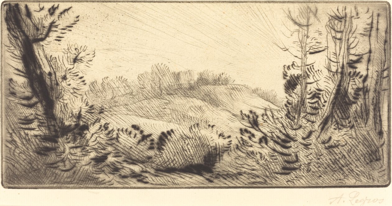 Small Hill Le coteau. av Alphonse Legros