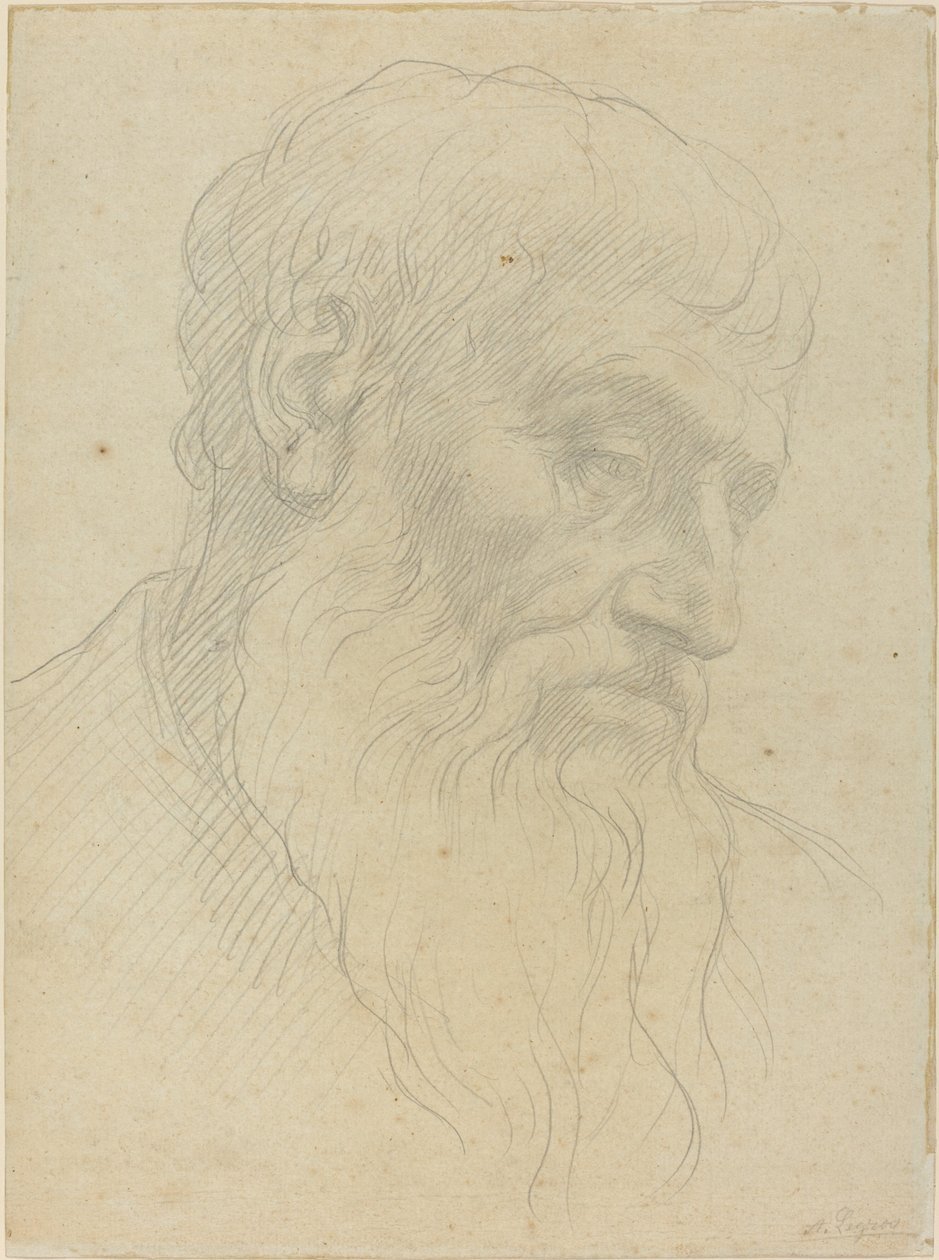 Studie av et hode av Alphonse Legros