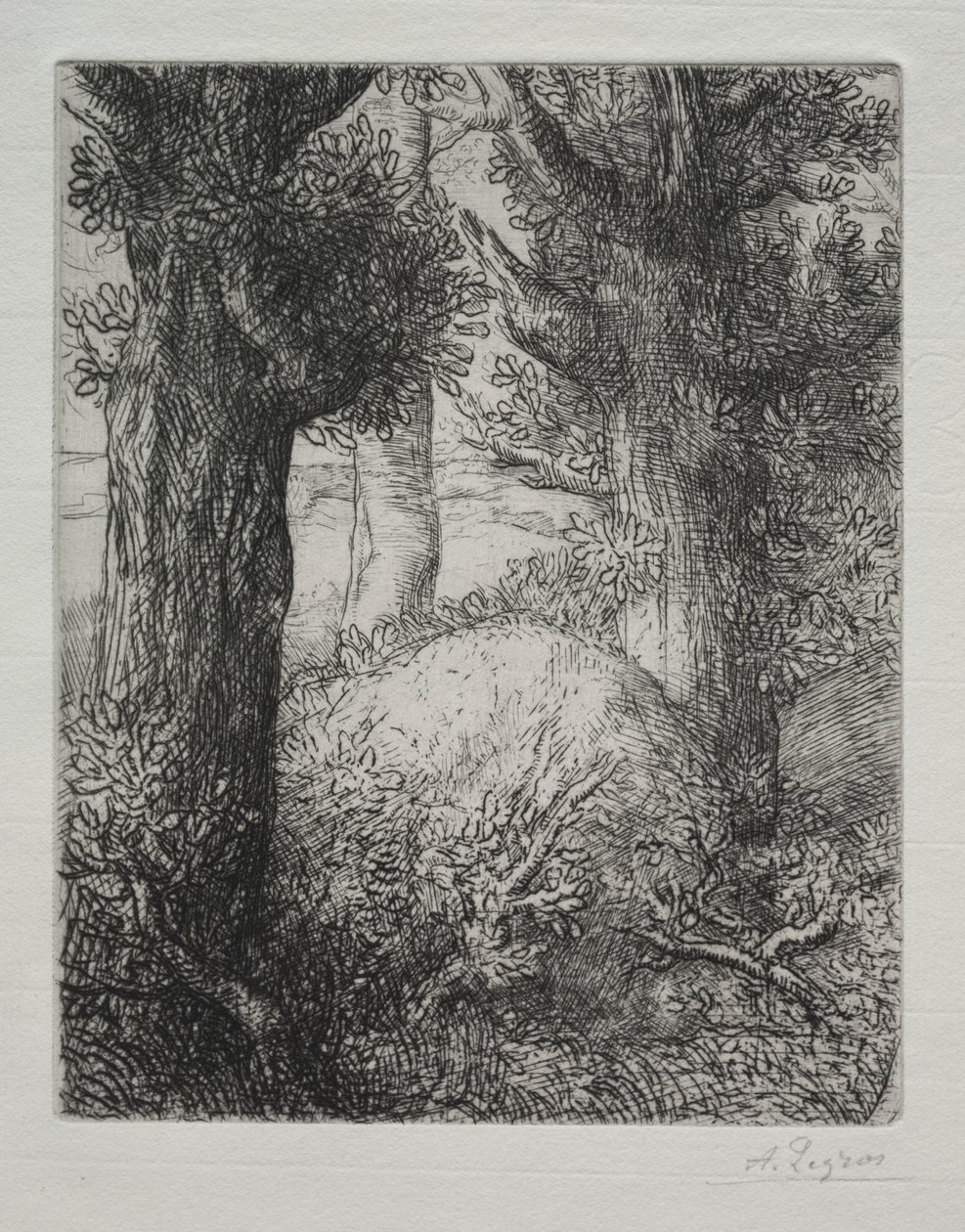 Galliske gravhauger av Alphonse Legros