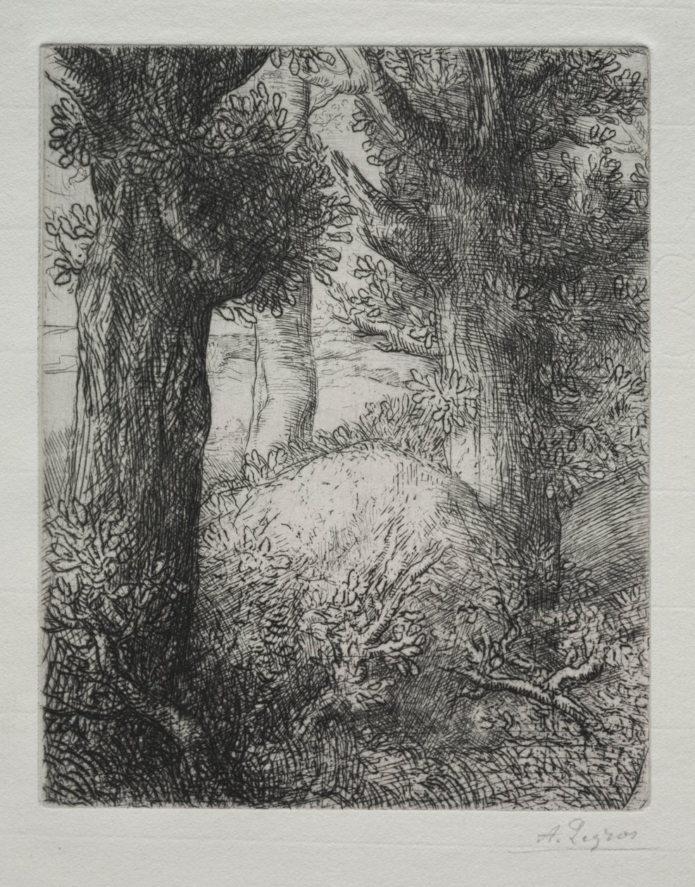 Galliske gravhauger. av Alphonse Legros