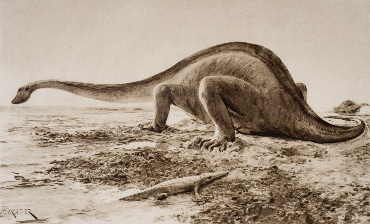 Brachiosaurus av Amedee Forestier
