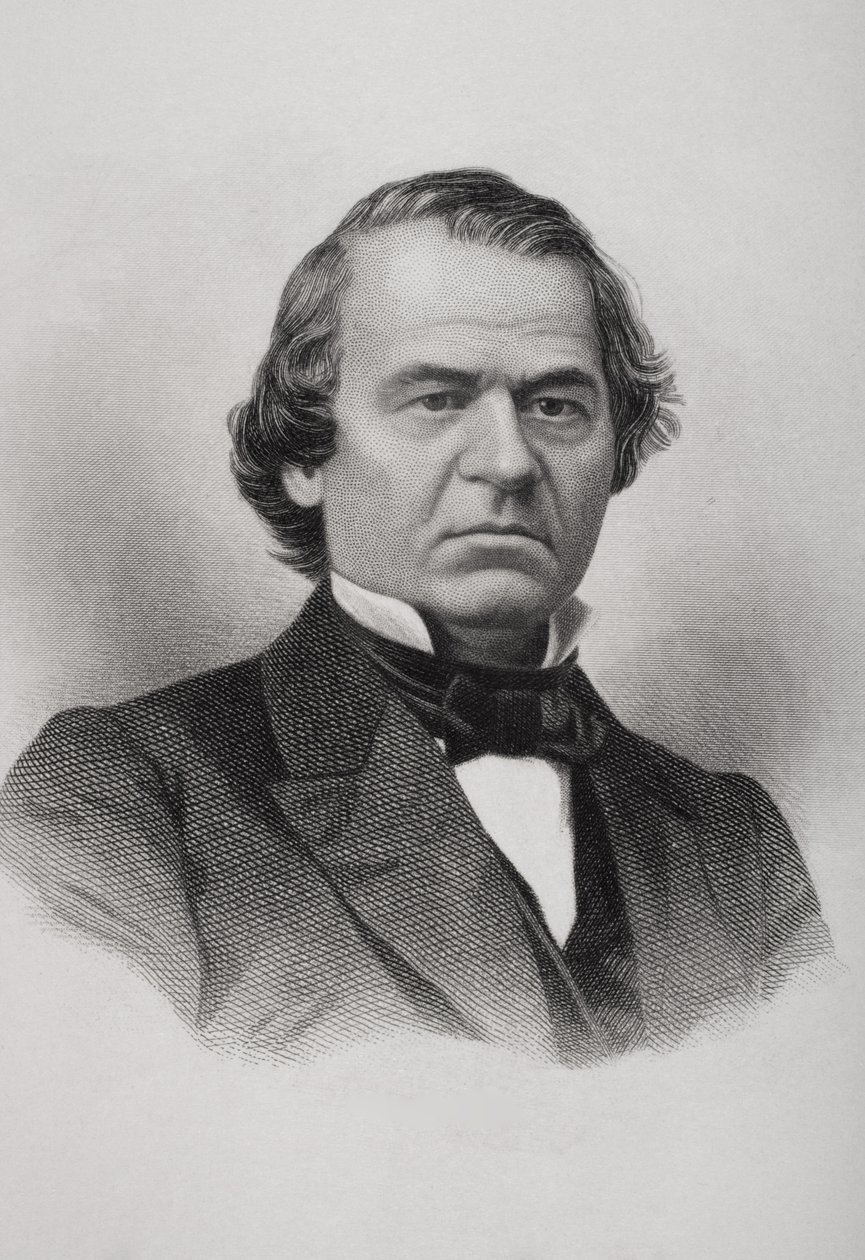 Portrett av Andrew Johnson (1808-75) av American School