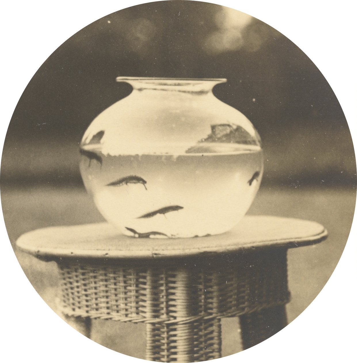 Uten tittel (Fishbowl) av American 19th Century
