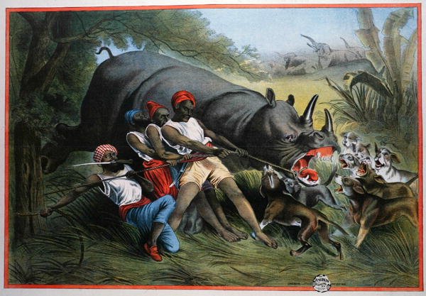 En neshornjakt (chromolitho) av American School