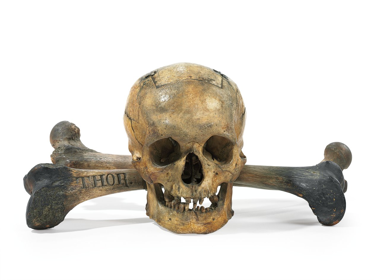 Skull-and-Bones stemmeseddel (bein) av American School