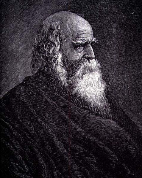 William Cullen Bryant (gravering) av American School