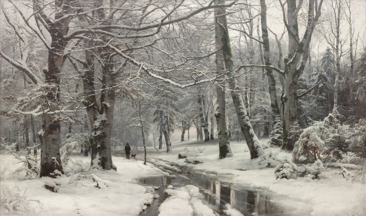 Frostvær i en bøkeskog av Anders Andersen Lundby