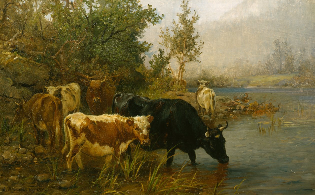  av Anders Askevold