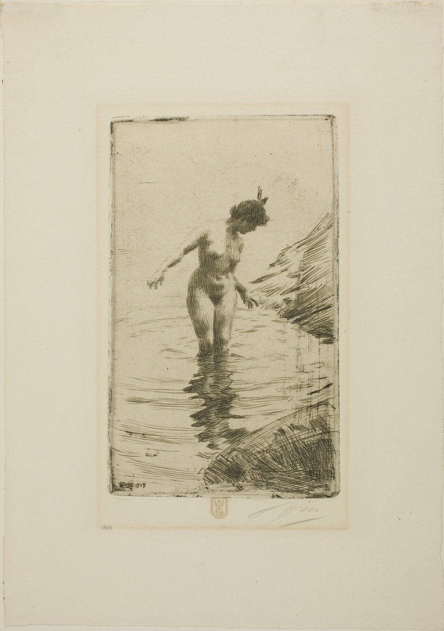  av Anders Zorn