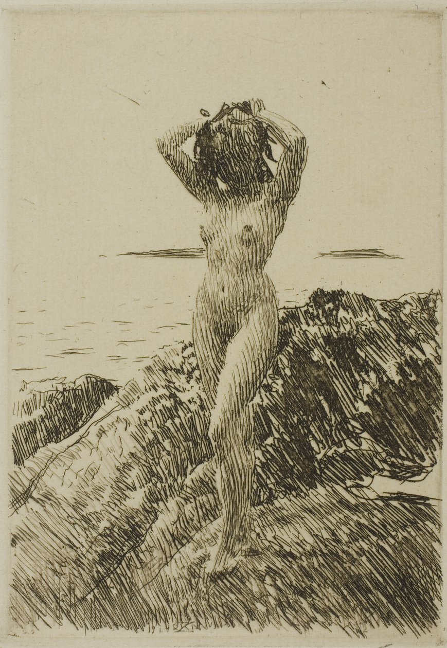 Hårtång (tangkrans) av Anders Leonard Zorn