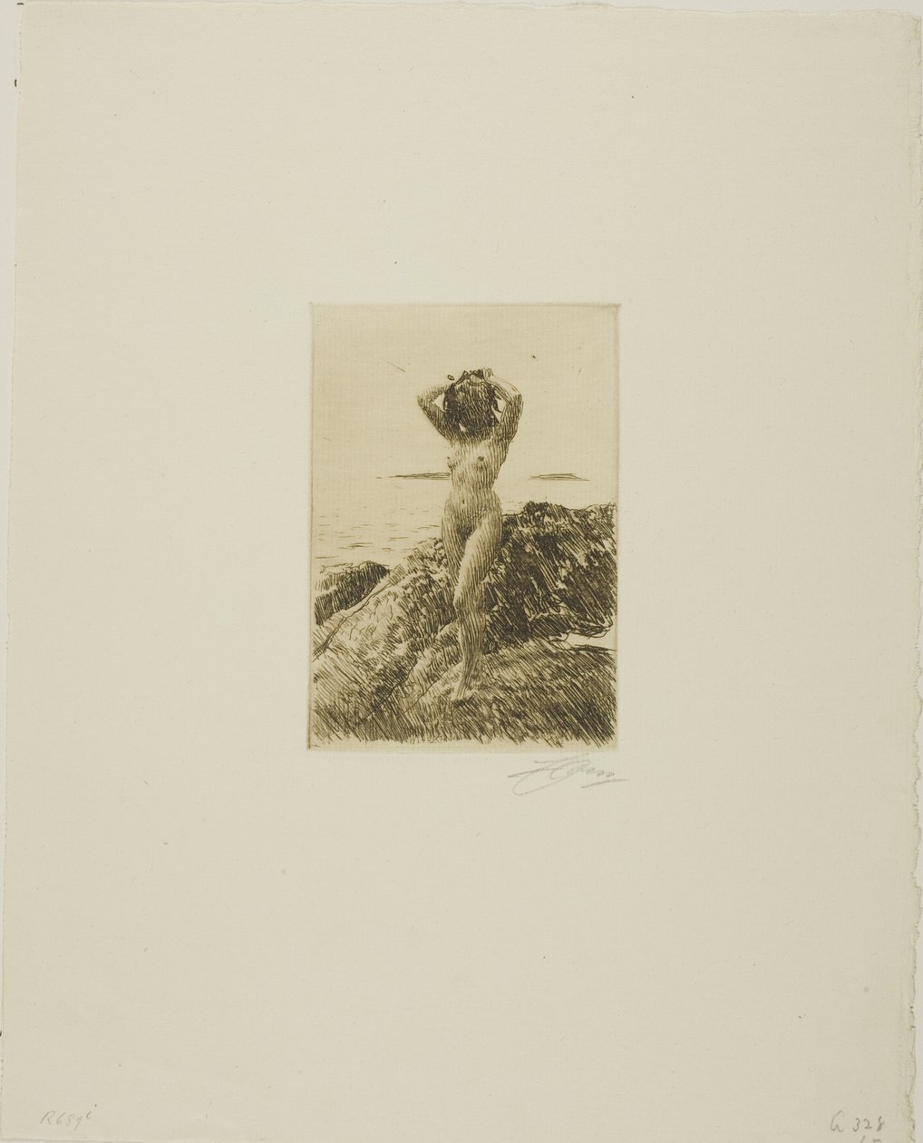 Hårtång (Seawood-krans) av Anders Leonard Zorn