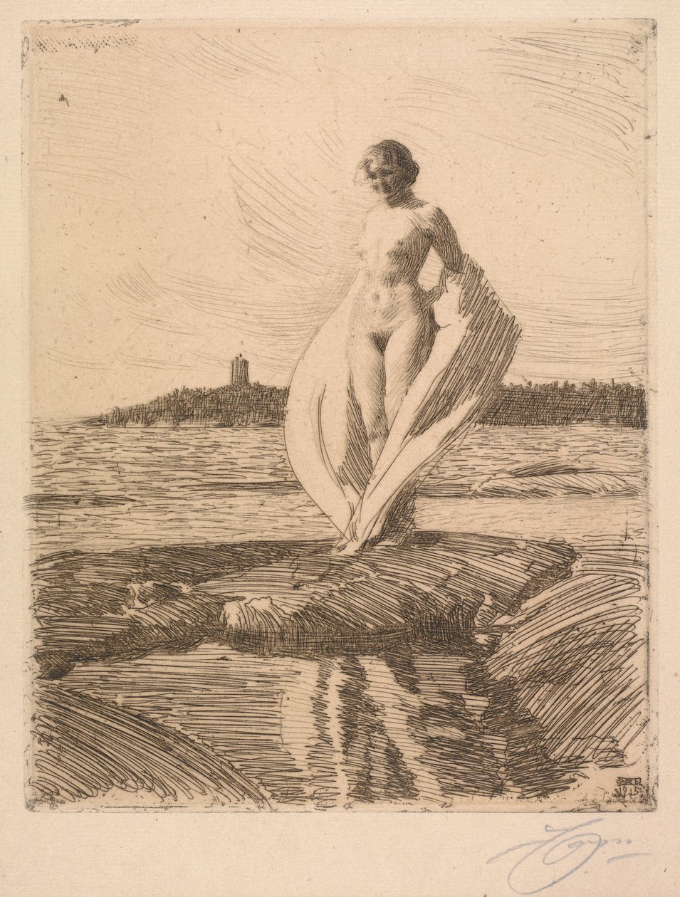 Svanen av Anders Leonard Zorn