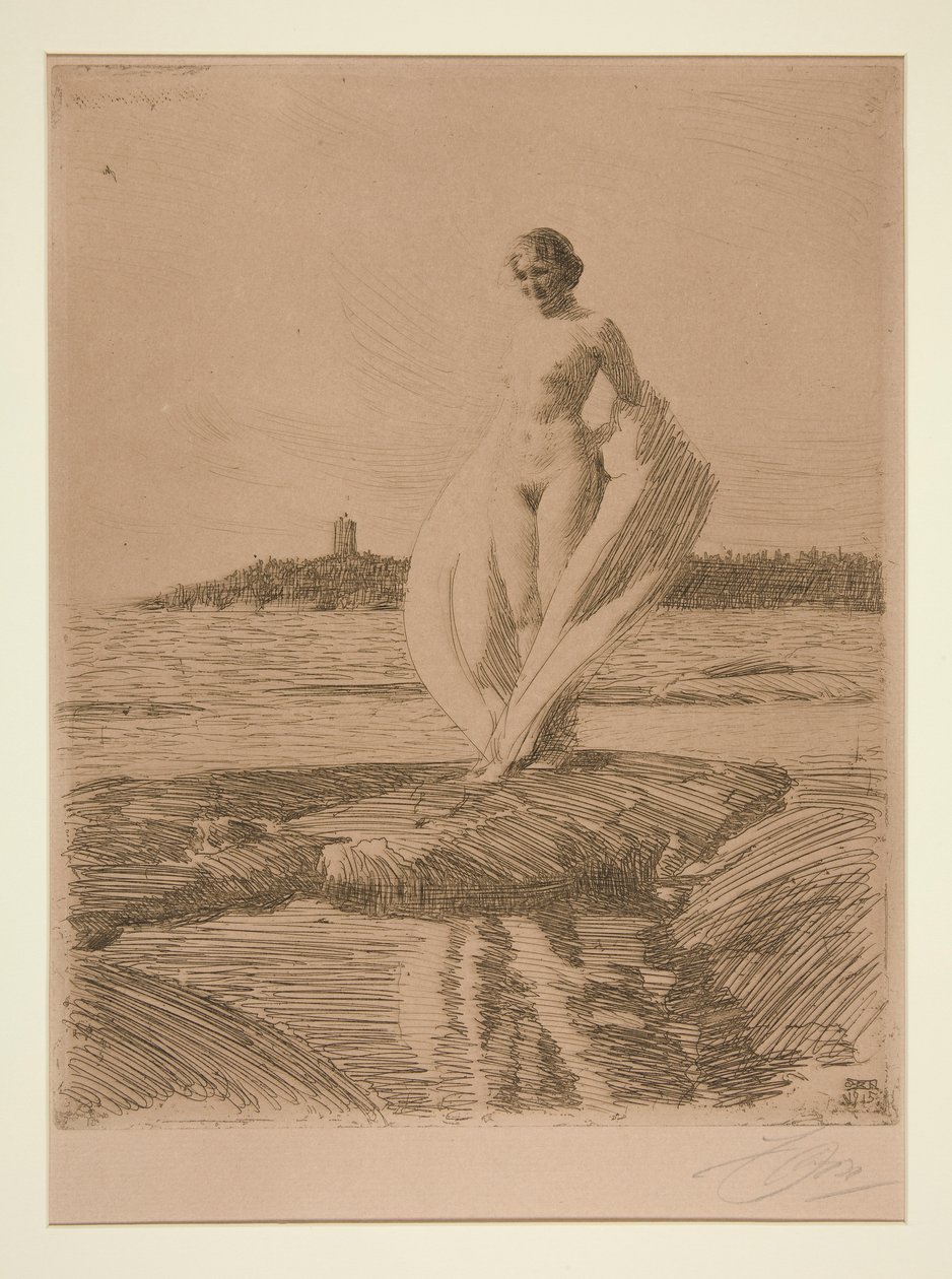 Svanen av Anders Leonard Zorn
