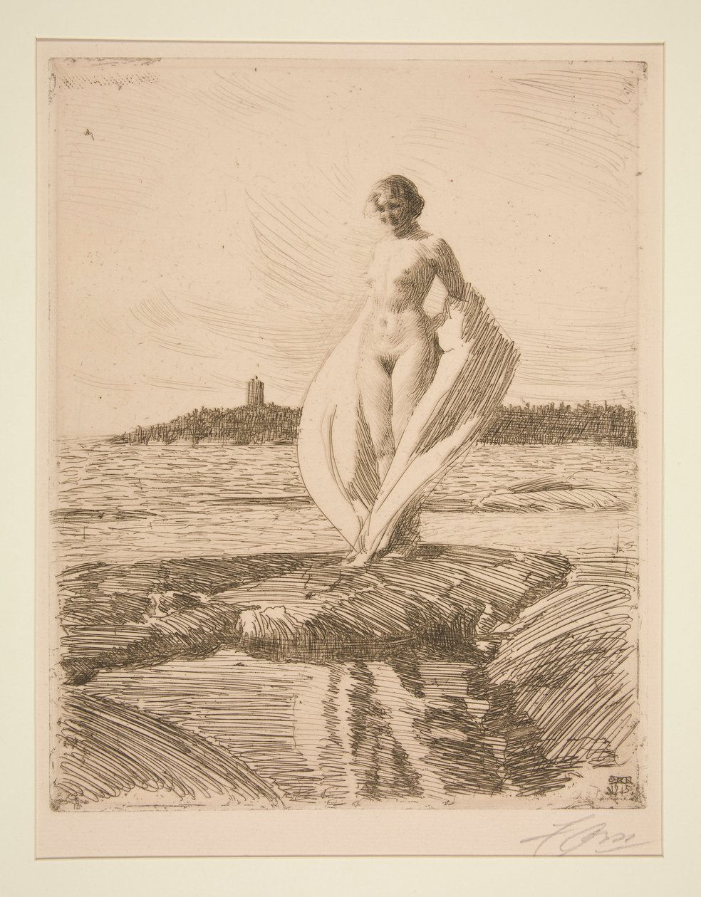 Svanen av Anders Leonard Zorn