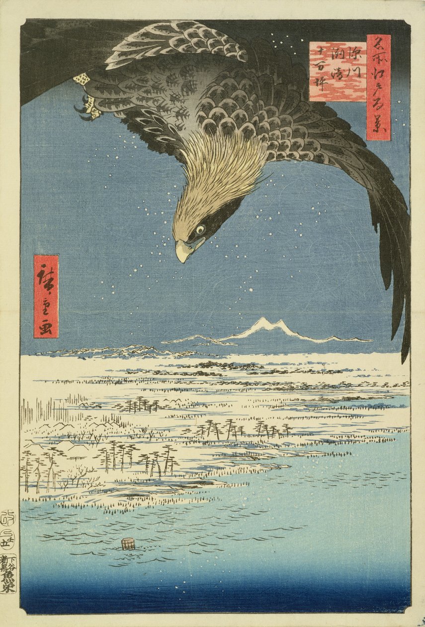 Eagle Over 100 000 Acre Plain i Susaki, Fukagawa (