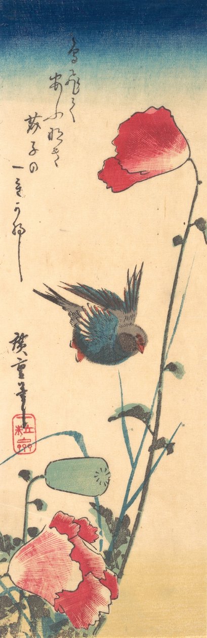 En blåfugl og valmuer, 1832-34., 1832-34. av Ando Hiroshige
