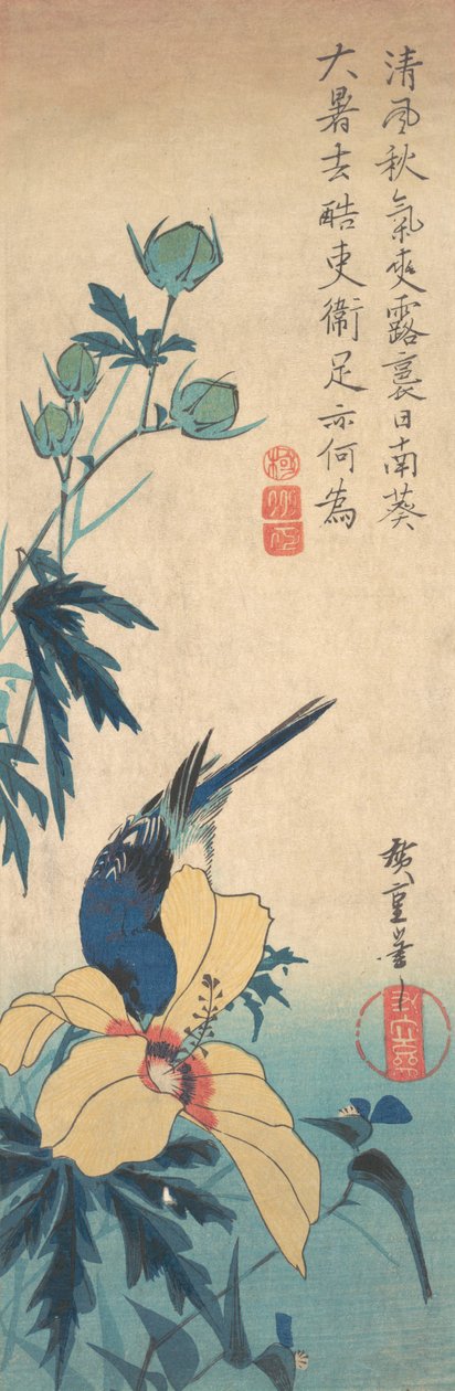 Hibiscus og Bluebird, ca. 1832., ca. 1832. av Ando Hiroshige