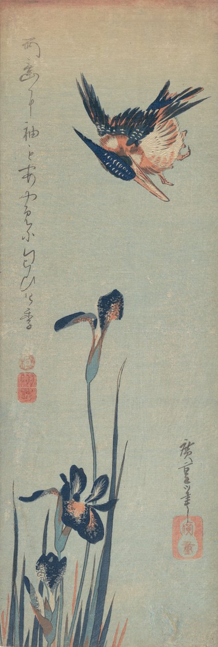 Kingfisher og iriser, 1832-34., 1832-34. av Ando Hiroshige