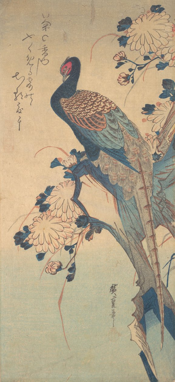 Fasan med krysantemum, ca. 1835., ca. 1835. av Ando Hiroshige