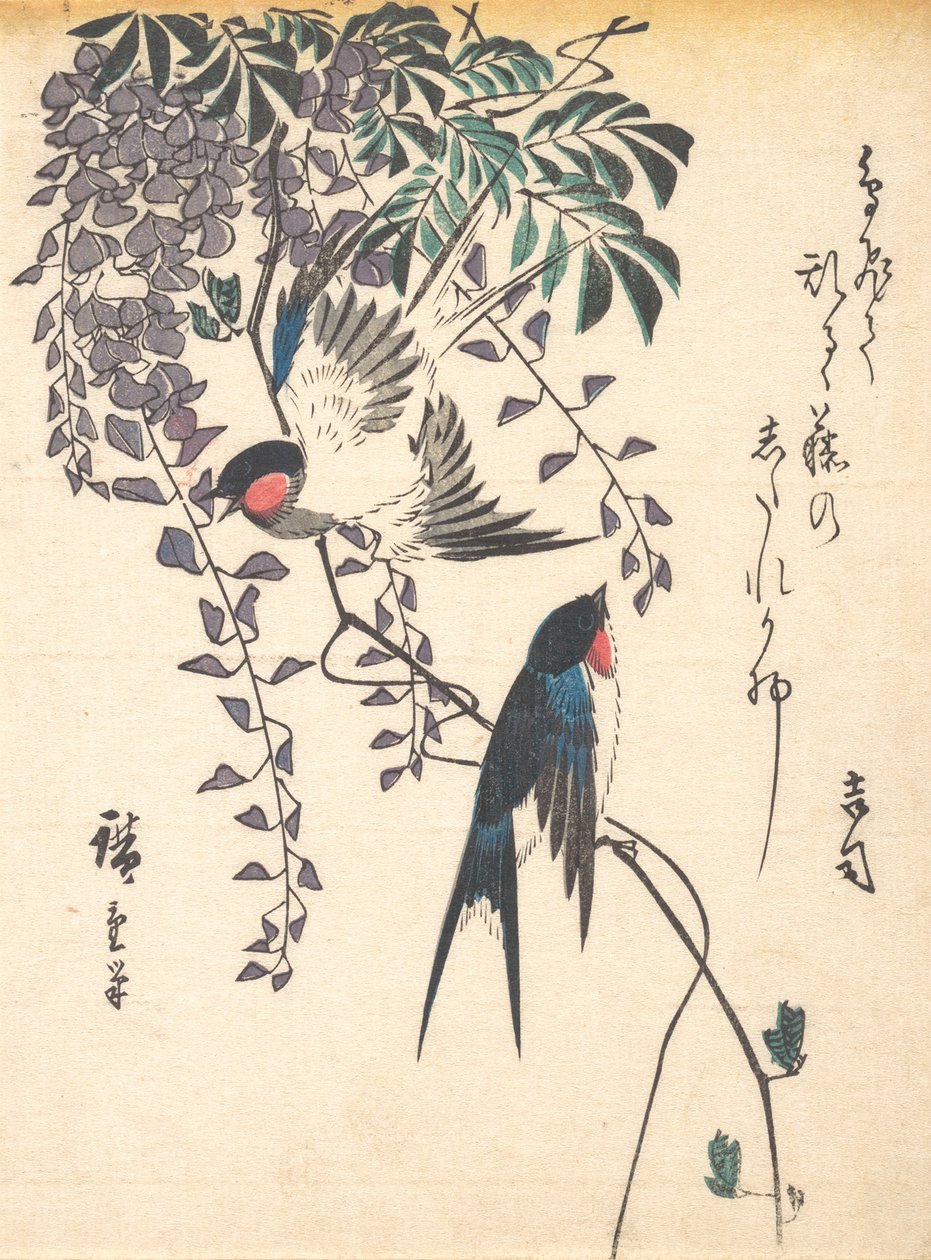 Swallow and Wisteria, midten av 1840-tallet, midten av 1840-tallet. av Ando Hiroshige