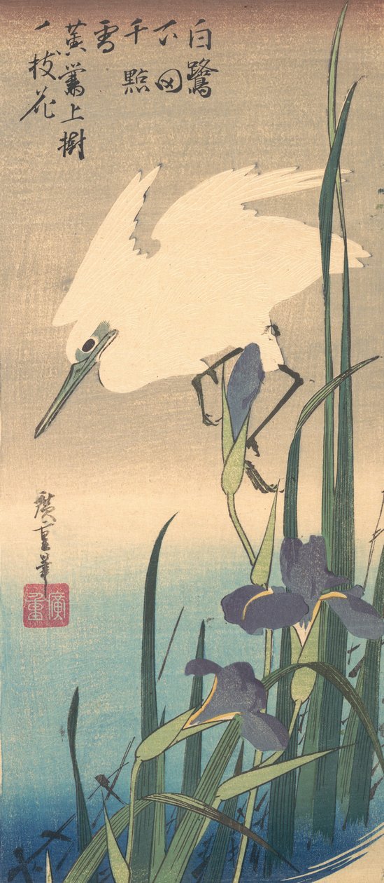 White Heron og Iris. av Ando Hiroshige