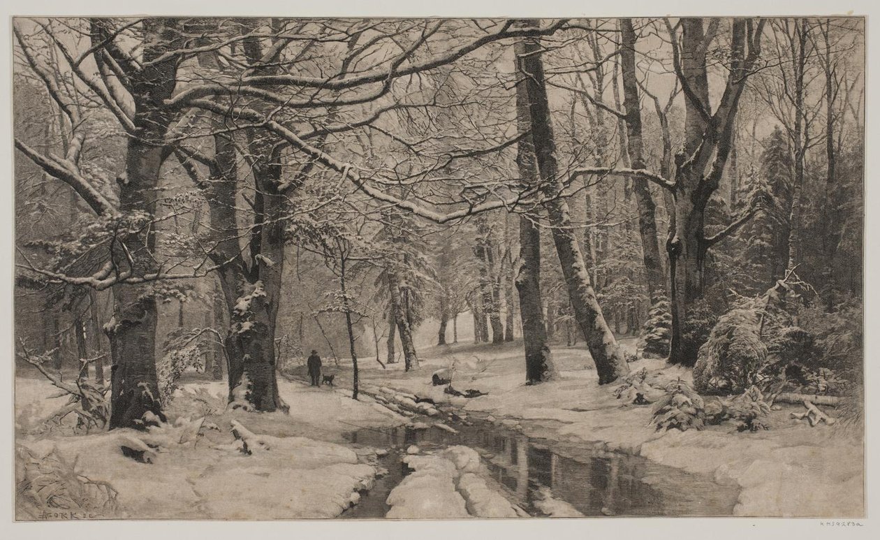 Vinterdag i en skog av André Bork