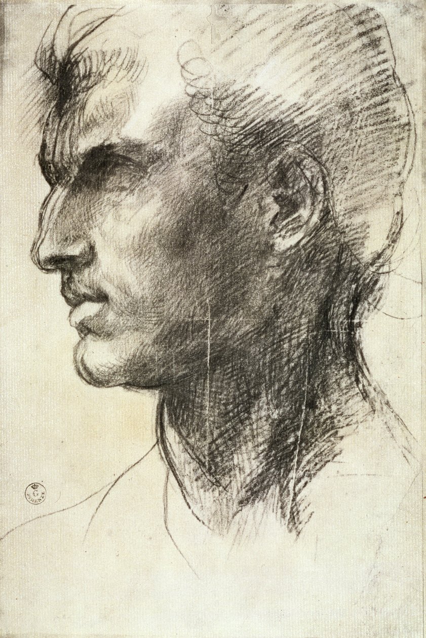 Studie av et mannlig hode (kull på papir) av Andrea del Sarto