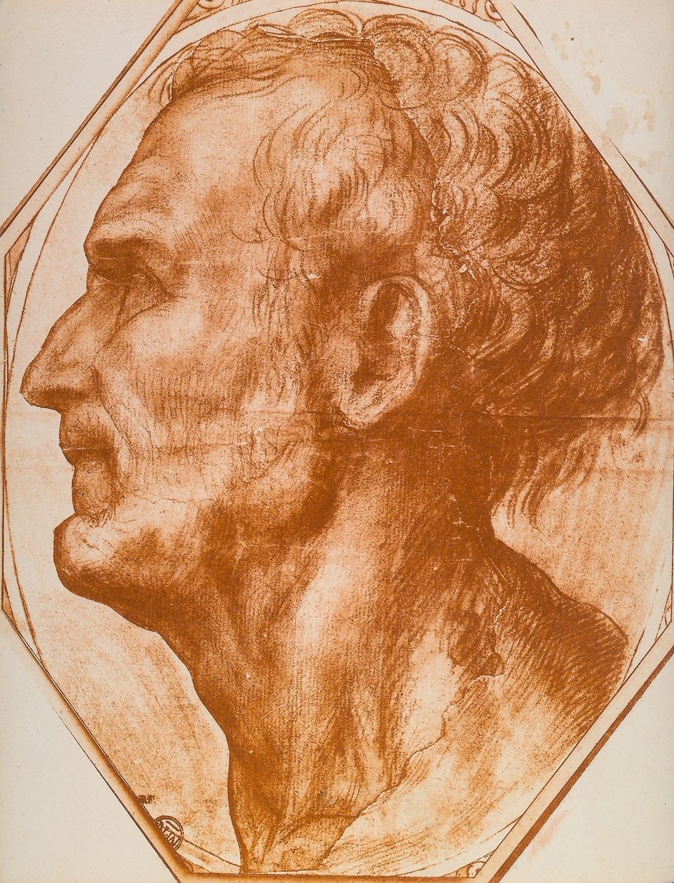 Studie av en manns hode; tegning av Andrea del Sarto