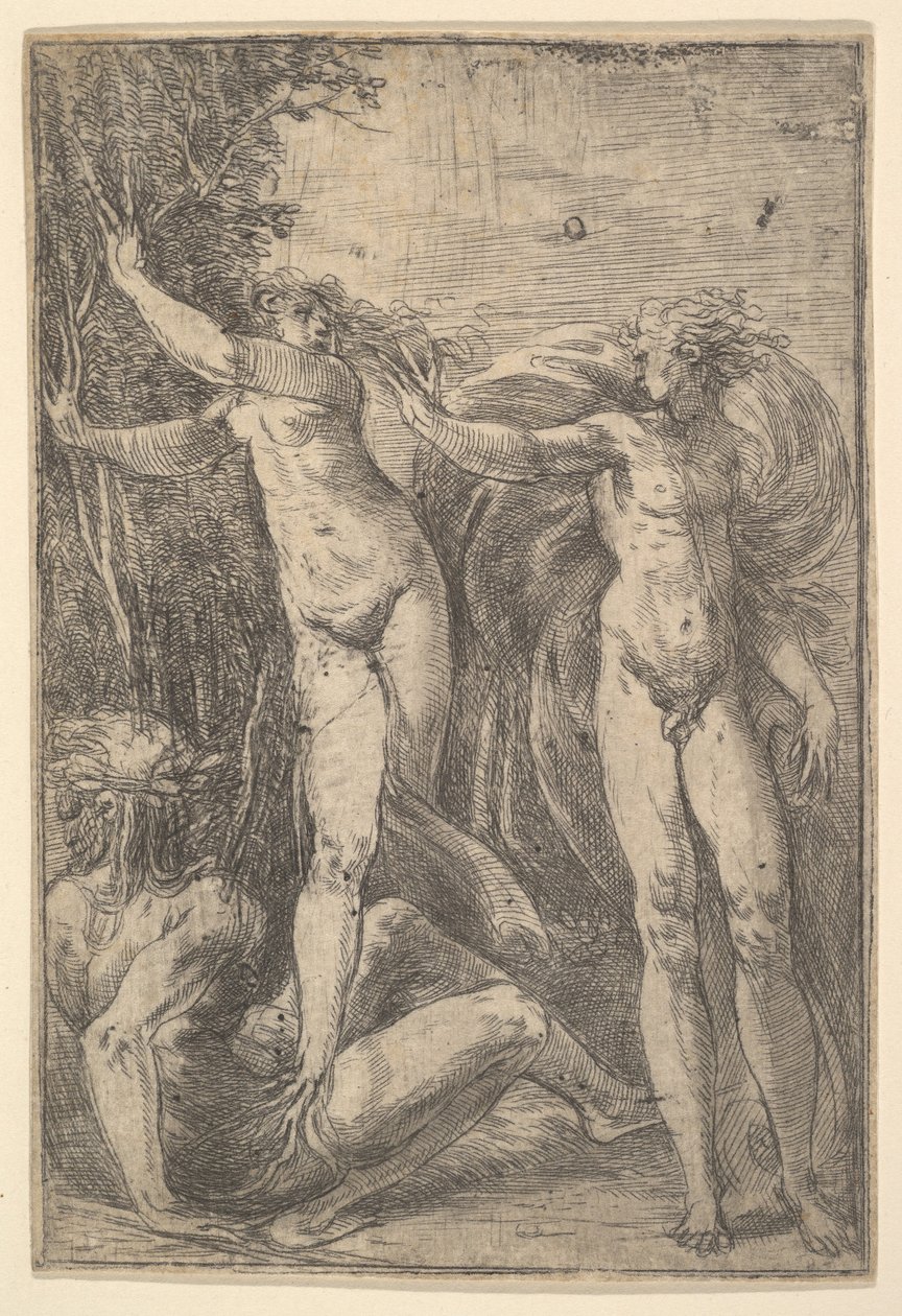 Apollo og Daphne, ca. 1538-40. av Andrea Schiavone