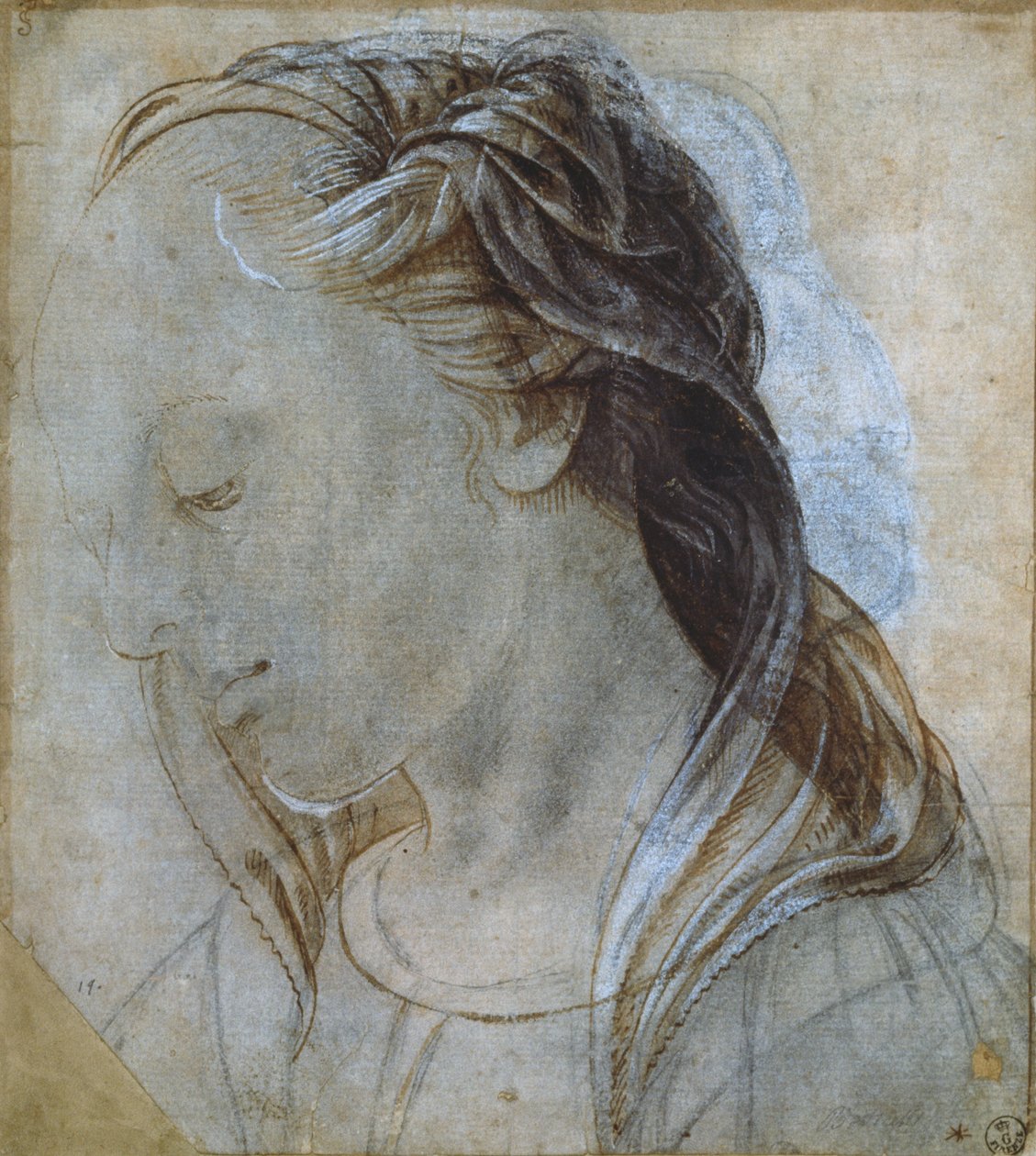 Kvinnelig hode (tegning) av Andrea Verrocchio