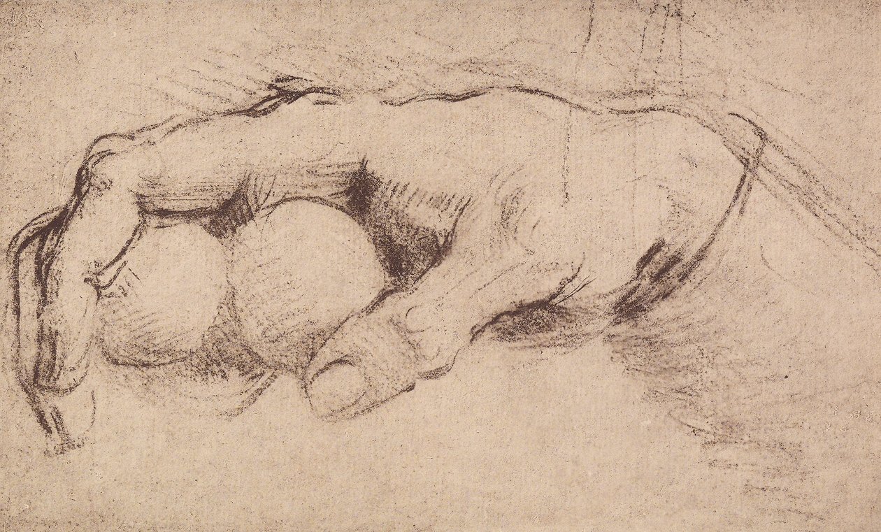 En hånd; tegning av Andrea del Sarto