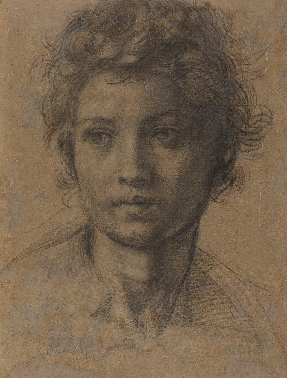 Hodet til døperen Johannes av Andrea del Sarto