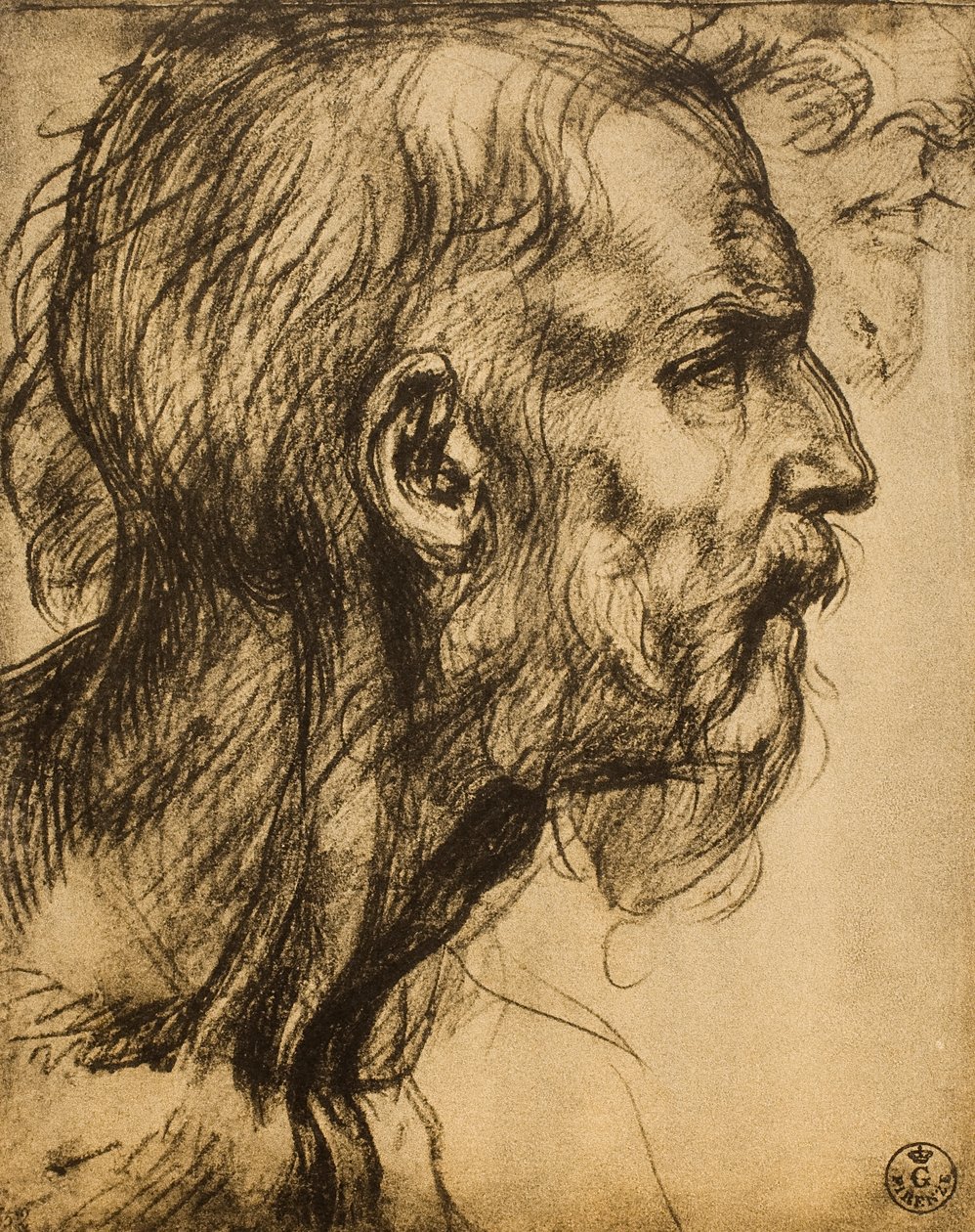 Profeten Sakarjas hode av Andrea del Sarto