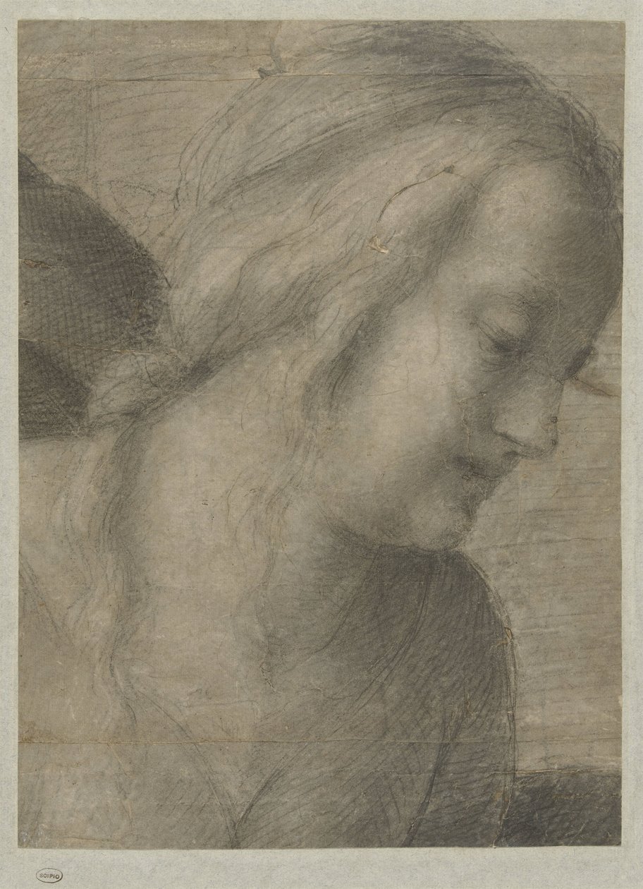 Hodet til Maria, i en tilbedelse av Andrea del Sarto
