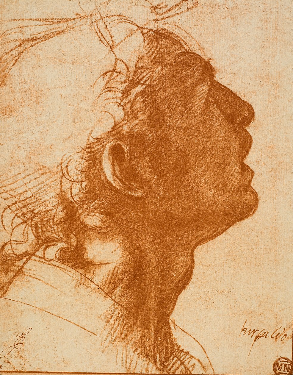 Mannlig hode av Andrea del Sarto