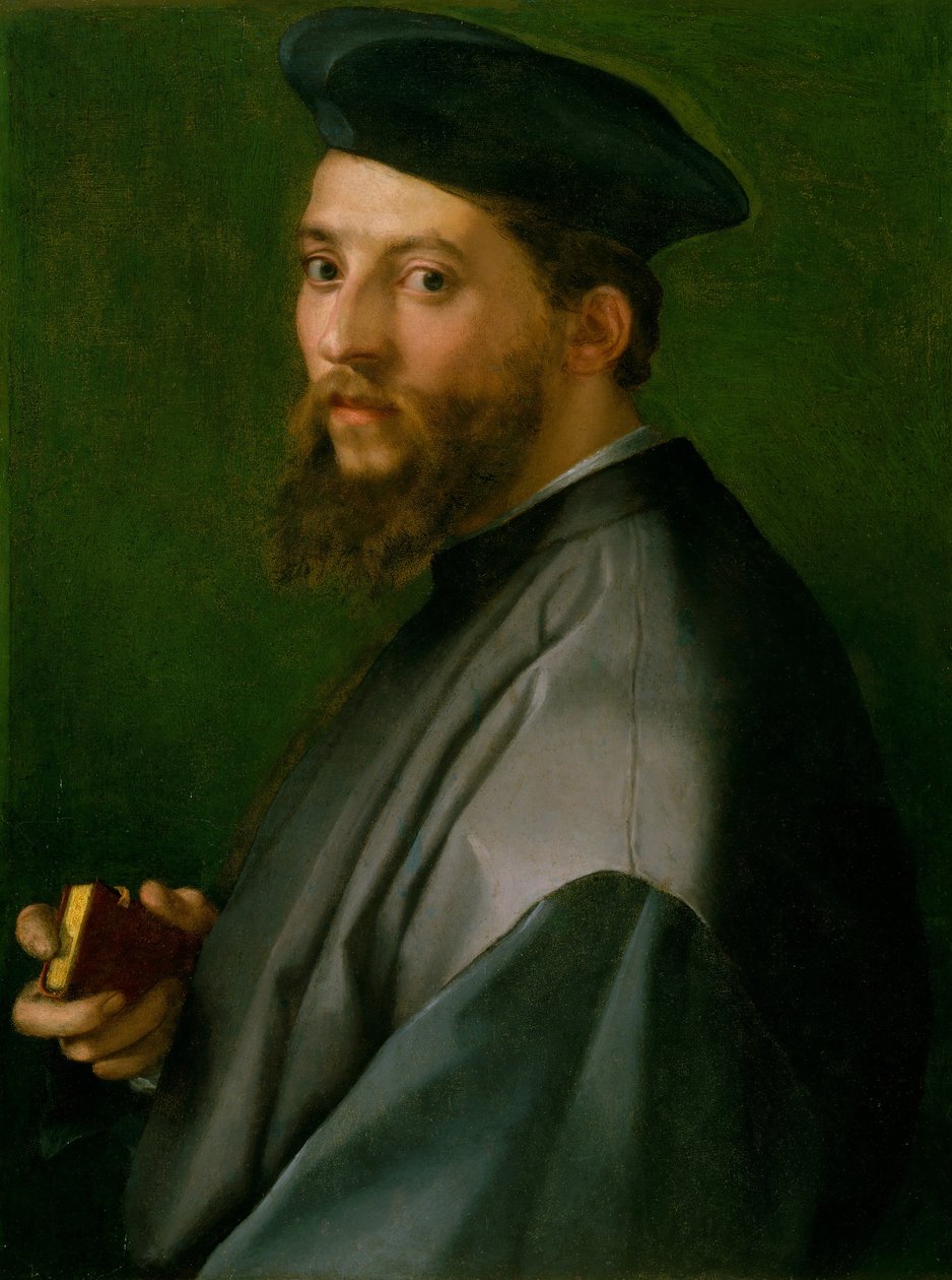 Portrett av en mann, 1528-30. av Andrea del Sarto