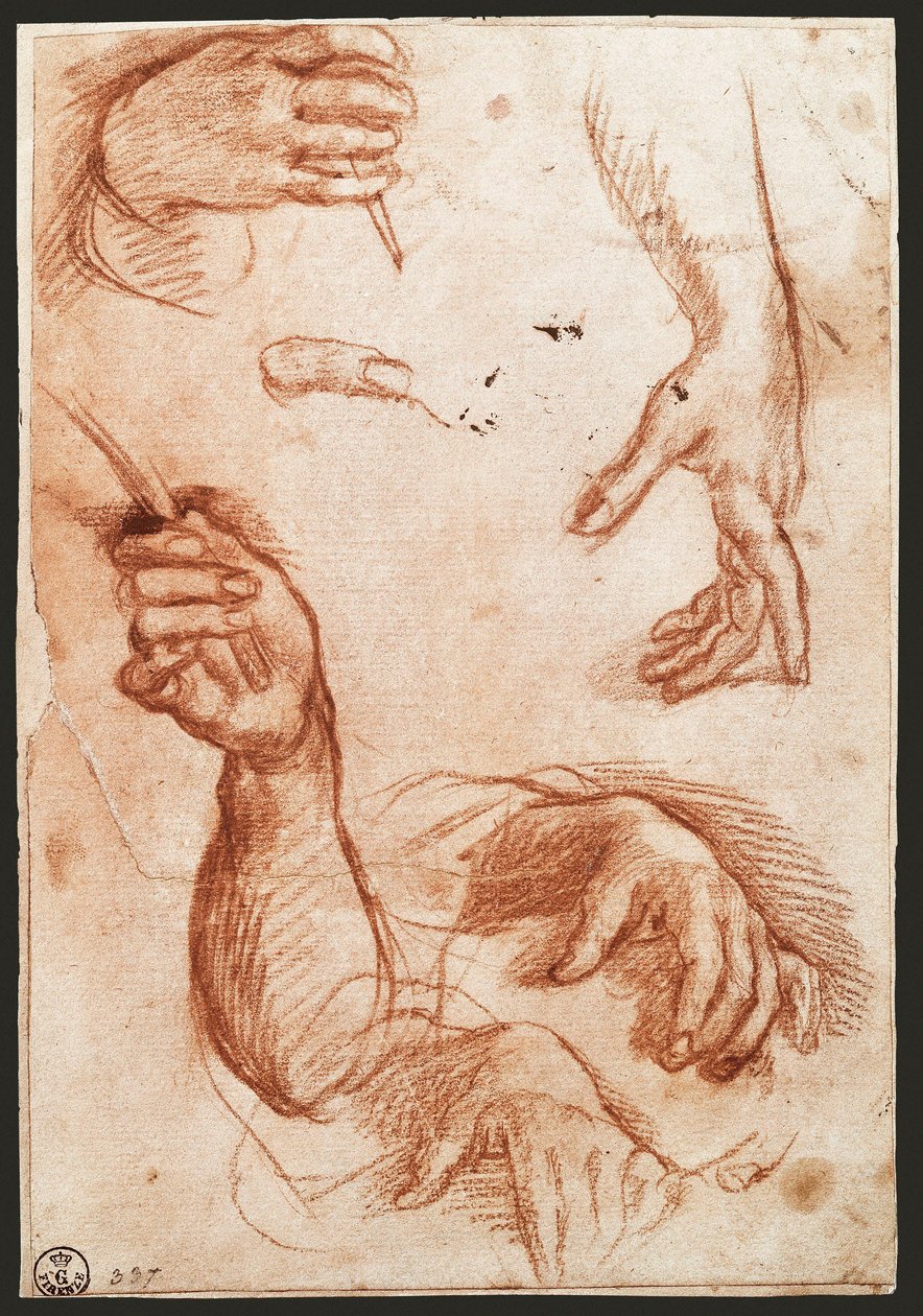 "Studie av hender" tegnekull (kull) av Andrea del Sarto