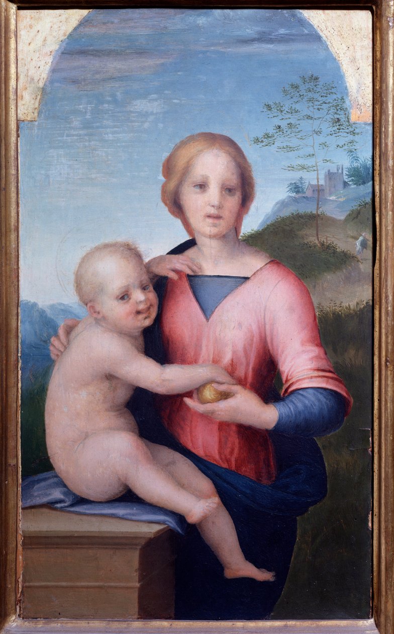 Jomfru med barn (maleri av Andrea del Sarto