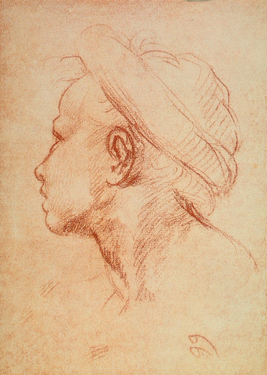 Ungdomshode i profil av Andrea del Sarto
