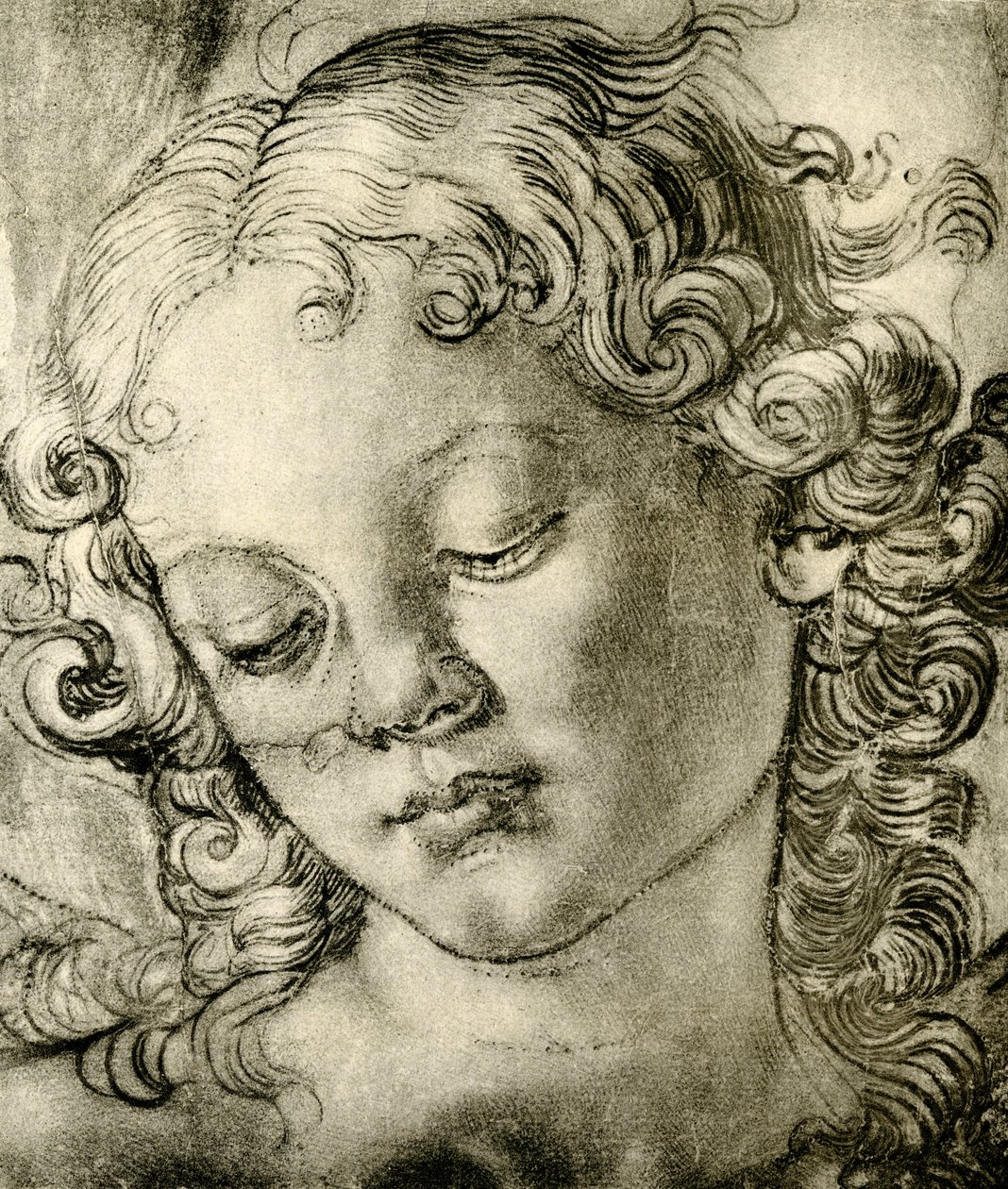 Englehode av Andrea del Verrocchio