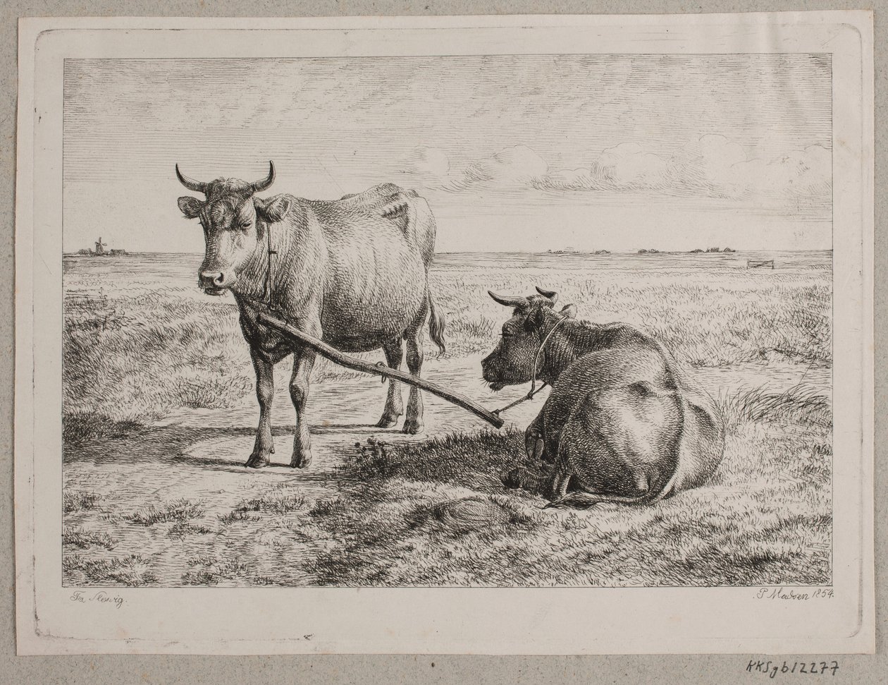 To koblede køer av Andreas Peter Madsen