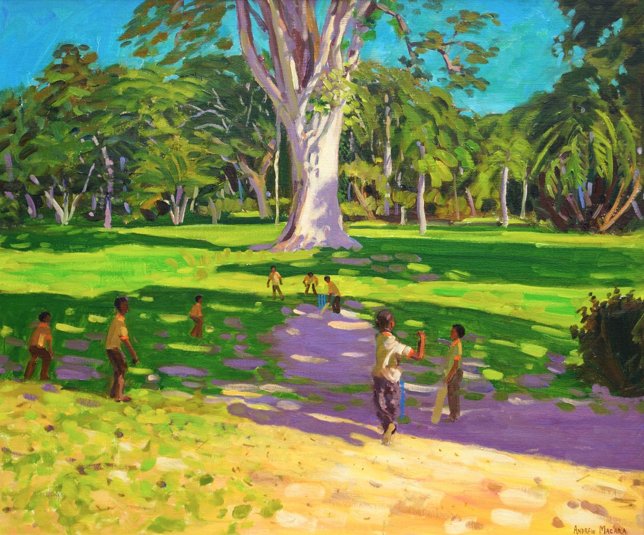 Cricketkamp, Botanisk hage, Dominica, Grenadinene. 2011, av Andrew Macara