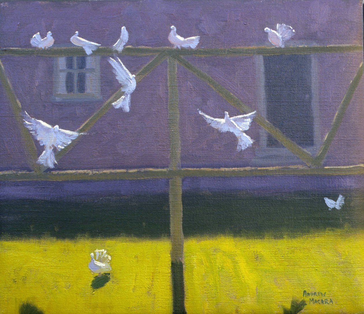 Doves, 1999 av Andrew Macara