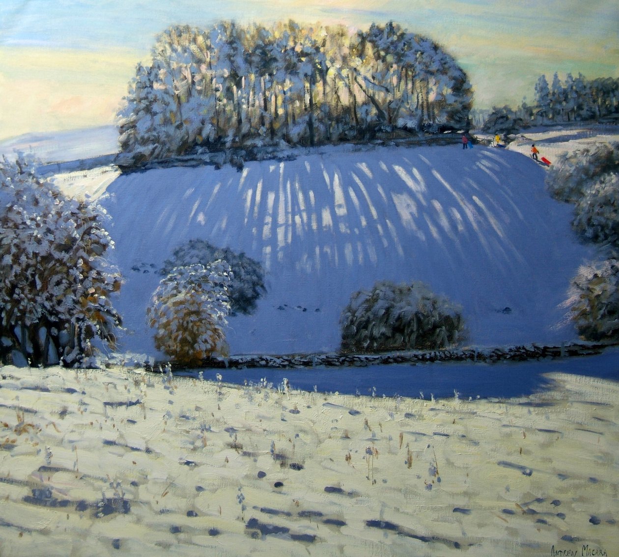 Skyggefelt, nær Youlgrave, Derbyshire av Andrew Macara