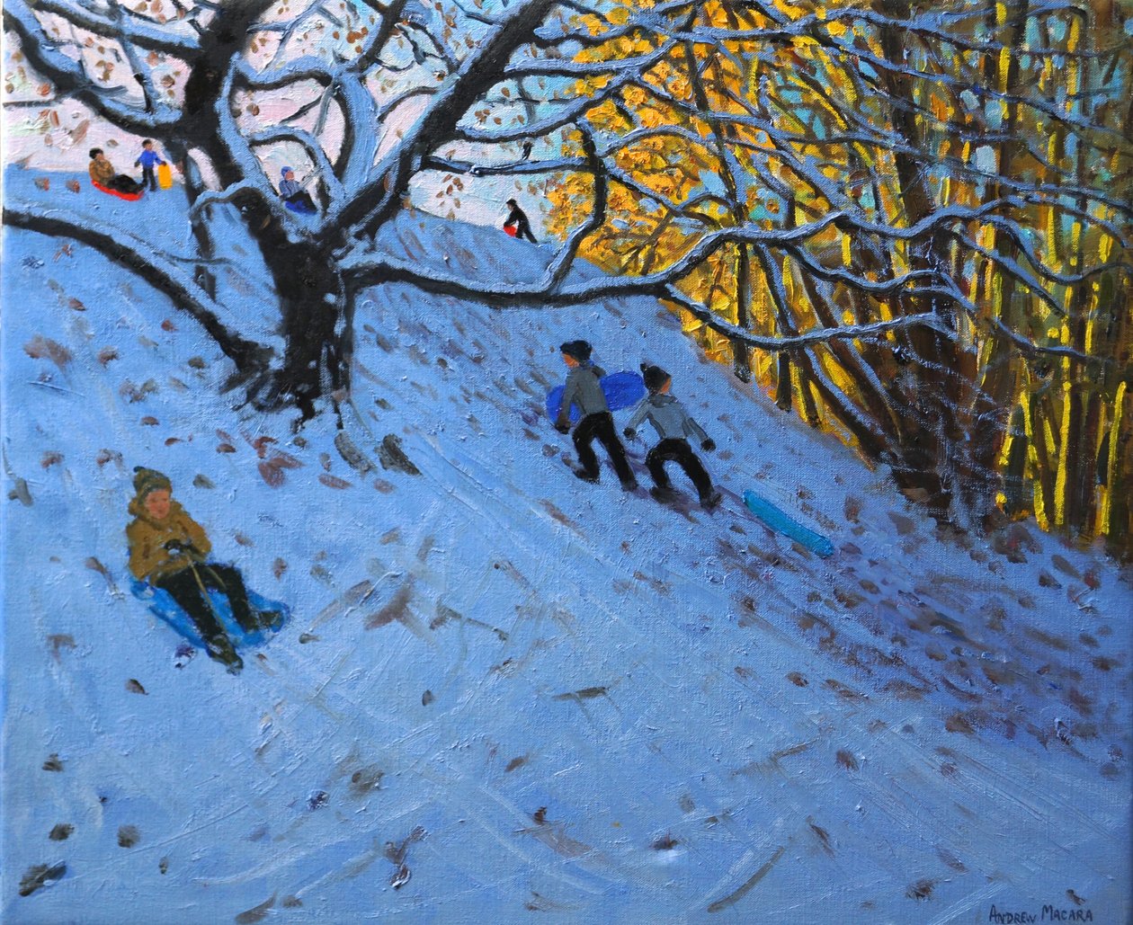Sledging Allestree Golfbane (3. hull) 2014 av Andrew Macara