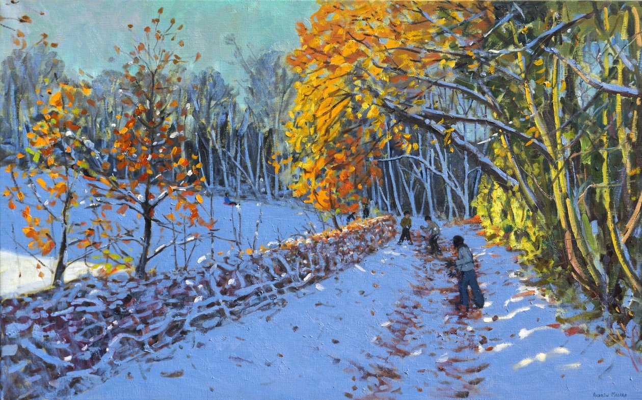 Snøball, Allestree Park, Derby, 2014 av Andrew Macara
