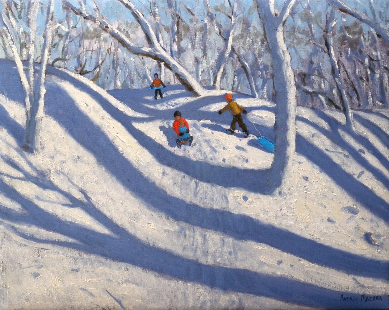 Winter Bramcote Nottingham, 2008 av Andrew Macara
