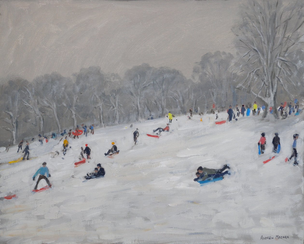 Winter, Darley Park, 2009 av Andrew Macara
