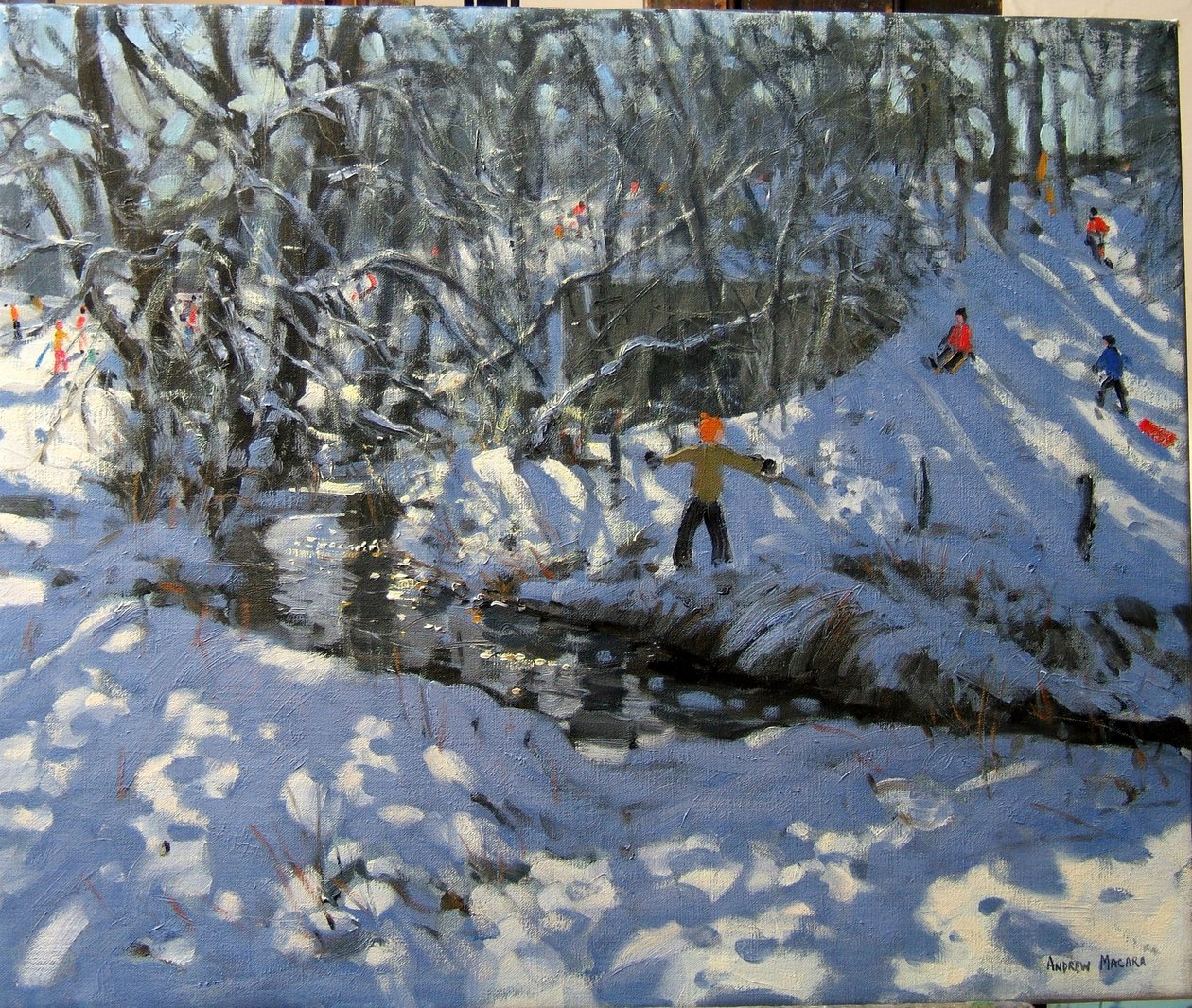 Winter Stream, Derbyshire av Andrew Macara