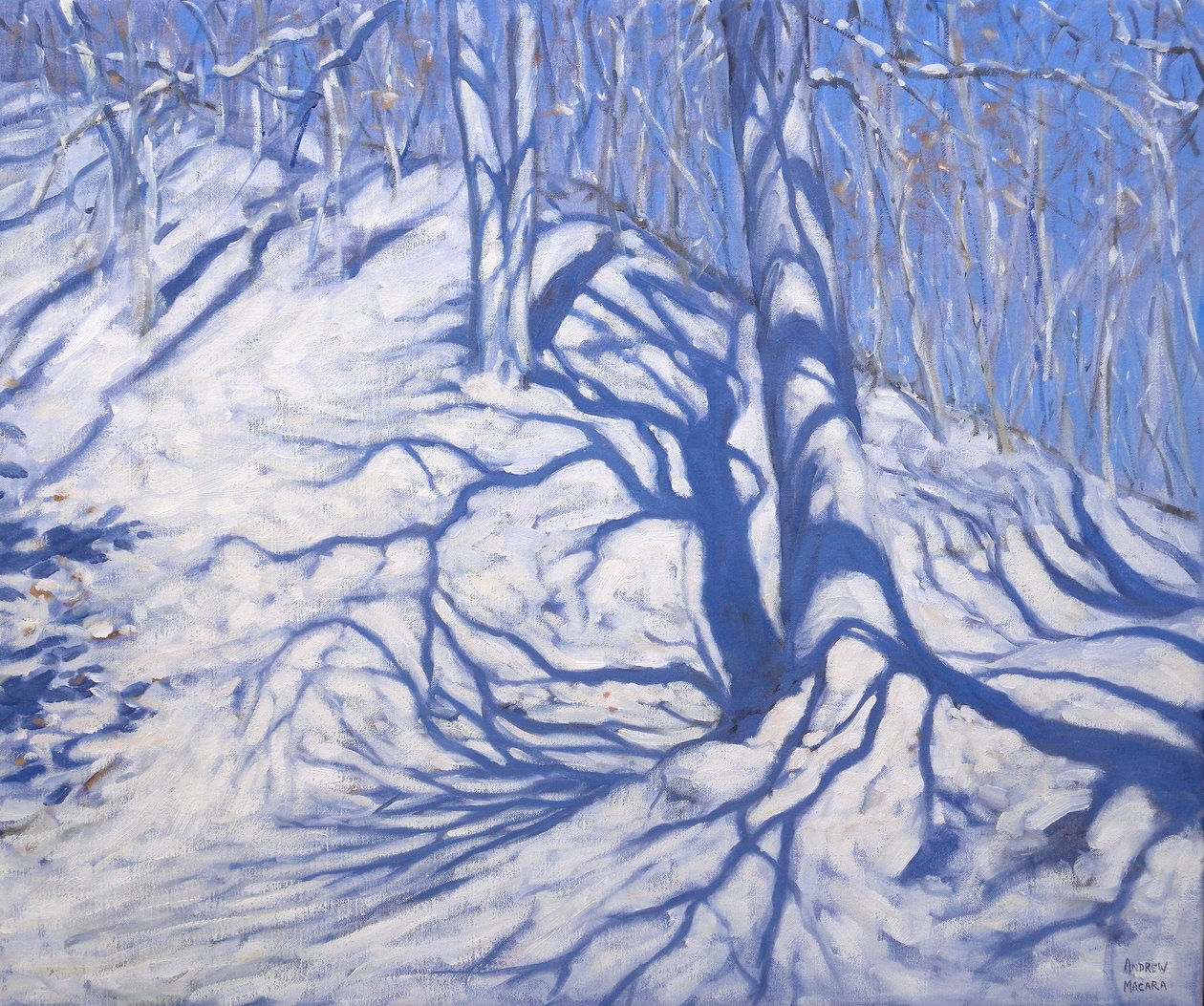 Winter Woodland, nær Courcheval, 2008 av Andrew Macara